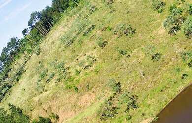 Imagem 10: Lote/Terreno para venda com 600 metros quadrados em Centro - Guararema...