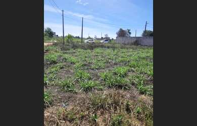 Imagem 4: Lote/Terreno para venda com 408 metros quadrados em Jardim Olhos d Água...