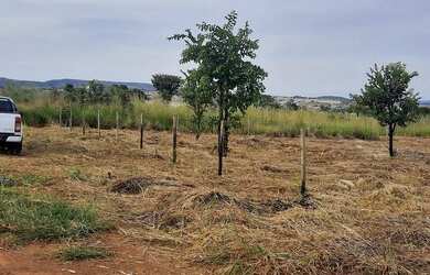 Imagem 7: Terreno 900 mt²