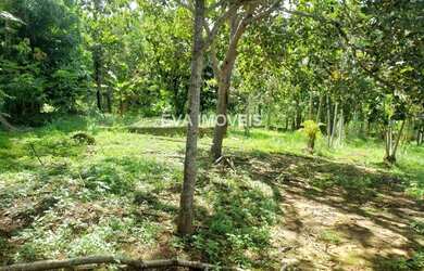 Imagem 5: ABADIA DE GOIAS - Chácara - QUINTA DA BOA VISTA