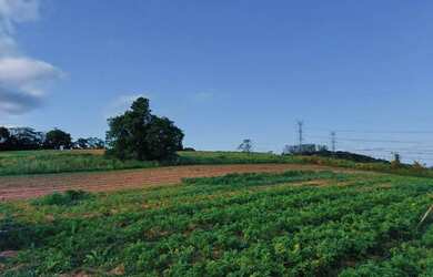 Imagem 8: Lote/Terreno para venda possui 1000 metros quadrados em Veloso - Osasco...