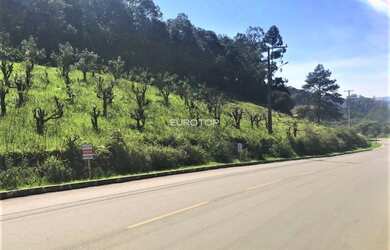 Imagem: O terreno possui 3.370m² de Área e está localizado em Garibaldi