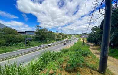 Imagem 1: Lote com 307 m² e casa, de frente para a Rodovia do Contorno, BR 101,...