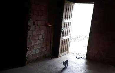 Imagem 2: Alugo Casa Contendo Vao Grande Banheiro 250$ Não Paga Agua Nem Luz Wats...