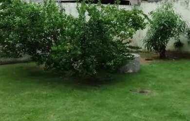 Imagem 15: Vendo Casa 3Qts - Itaboraí