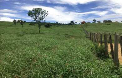 Imagem 7: FAZENDA EM NOVA REDENÇÃO - 1400 TAREFAS