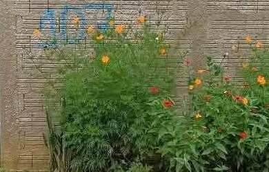 Imagem: A casa possui 2 Dormitórios, 1 Banheiro, 1 Vaga na garagem