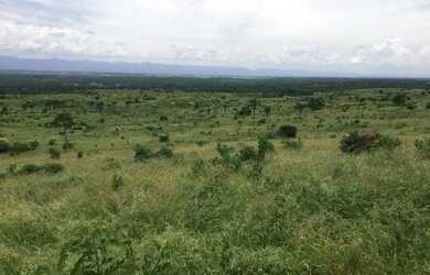 Imagem 5: FAZENDA EM NOVA REDENÇÃO - 1400 TAREFAS