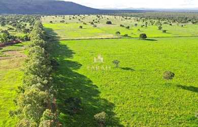 Imagem 3: Fazenda - 360 hectares - 74, 38 Alqueires