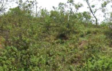 Imagem: O terreno possui 360m² de Área e está localizado em Catas