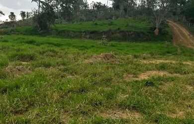 Imagem 5: Imóvel para venda com 5000 metros quadrados em Centro - Campinas - SP