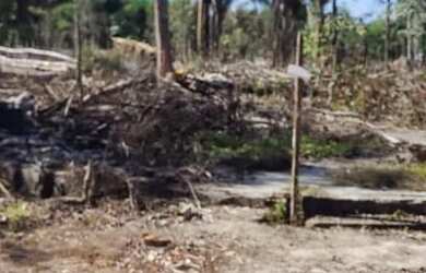 Imagem 3: Terreno em nova olinda do norte