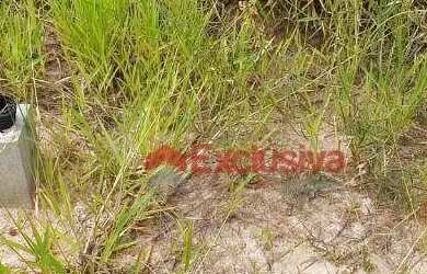 Imagem 6: Terreno à venda, 200 m² por R$ 320.000,00 - Terrassos Residencial -...