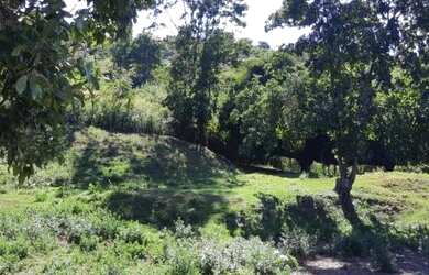 Imagem 6: Fazenda para Venda em Senador Mourão Diamantina , Diamantina