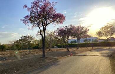 Imagem 4: Condomínio fechado chácara alto da Boa Vista senador Canedo