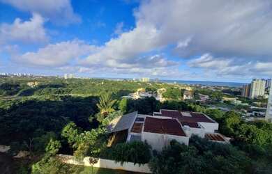 Imagem 12: Oportunidade no Greenville