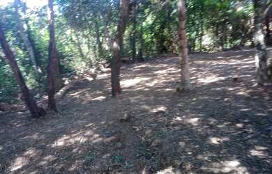 Imagem: A fazenda possui 130m² de Área e está localizado em Terras