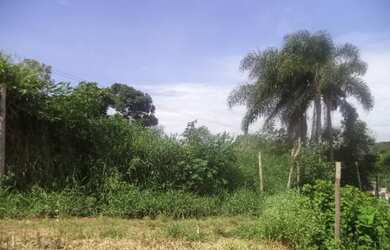Imagem: O terreno possui 175m² de Área e está localizado em Fazenda