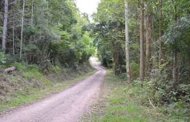 Imagem 3: Sítio à venda, 130000 m² por R$ 1.085.000,00 - Pedra Branca - Gramado/RS