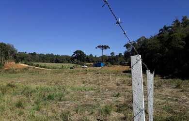 Imagem 5: Chácara Almirante Tamandaré Juruqui 5,5Km Santa Felicidade 23.000m²...