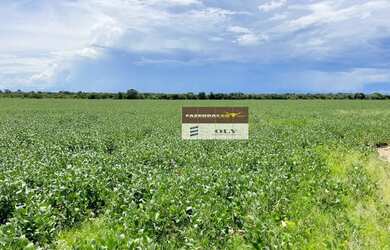 Imagem 8: FAZENDA EXTRA 1.880 HECTARES - REGIÃO DE FORMOSO DO ARAGUAIA - TO