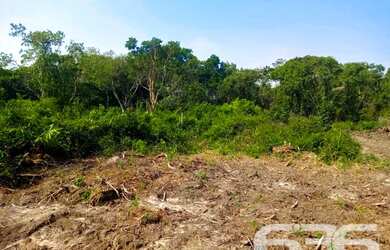 Imagem 9: Terreno | Balneário Barra do Sul