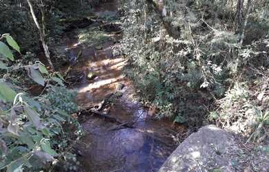 Imagem 2: Chácara Almirante Tamandaré Juruqui 5,5Km Santa Felicidade 23.000m²...