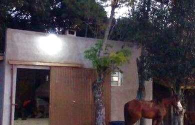 Imagem 2: Fazenda à venda, 1180000 m² por R$ 1.770.000 - Prado - Santana do Livramento/RS