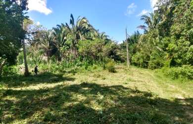 Imagem: O terreno está localizado em Forquilha, São Luís à venda
