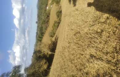 Imagem 4: Lote/Terreno para venda possui 1000 metros quadrados em Vitória Régia...