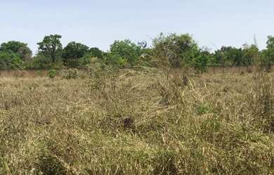 Imagem: O terreno possui 20.000m² de Área e está localizado em Park