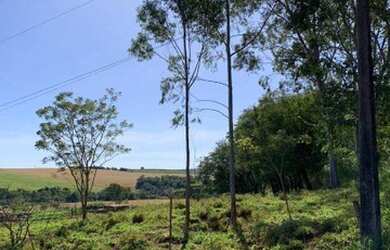 Imagem 1: Terreno Rural em Marialva