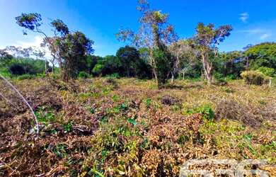 Imagem 3: Terreno | Balneário Barra do Sul