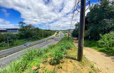 Imagem 2: Lote com 307 m² e casa, de frente para a Rodovia do Contorno, BR 101,...
