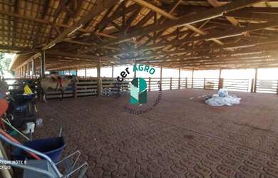 Imagem 16: Fazenda em Avelinópolis. Piscina, Churrasqueira, Ar-condicionadoe181m²...