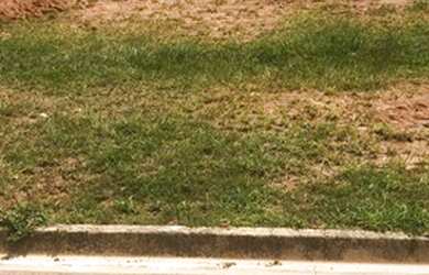 Imagem: O terreno possui 360m² de Área e está localizado em Jardim