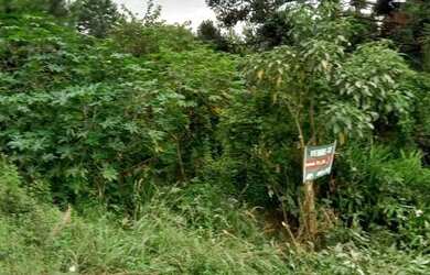 Imagem 11: Terreno para Venda em Almirante Tamandaré, CINTIA MARA