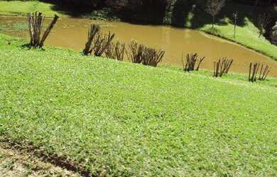 Imagem 5: Terreno Capital Ville I. Piscinae1.300m² de Área