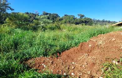 Imagem 4: Vendo lote. 1.000m² de Área