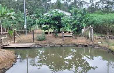 Imagem 3: Lote medindo 10 por 76. 2 Dormitórios