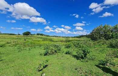 Imagem: A fazenda possui 1.258.000m² de Área e está localizado em