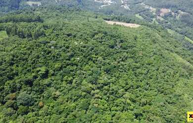 Imagem 7: Sítio / Chácara para Venda em Nova Petrópolis, Linha Olinda, 2 dormitórios,...