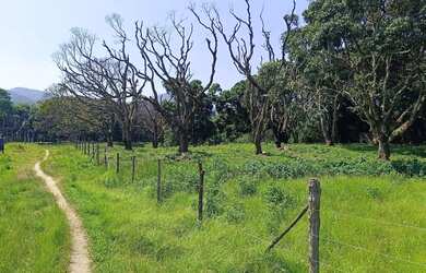 Imagem 7: Área de 75 mil m2 á venda na Ilha de Guaratiba - Rio de Janeiro - RJ