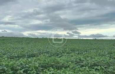 Imagem: A fazenda possui 5000-0m² de Área, Imóvel novo e está localizado