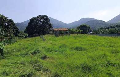 Imagem 8: Área de 75 mil m2 á venda na Ilha de Guaratiba - Rio de Janeiro - RJ