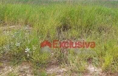 Imagem 7: Terreno à venda, 200 m² por R$ 320.000,00 - Terrassos Residencial -...