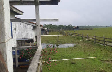 Imagem 3: Fazenda Caviana 3500 hectares