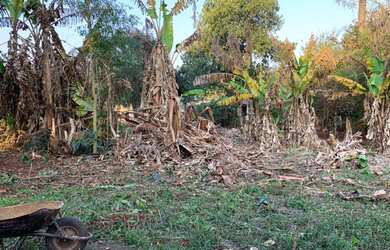Imagem: O terreno está localizado em Porto Belo, Foz do Iguaçu à