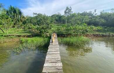 Imagem 4: Vende-se sítio para psicultura na Estrada de Novo Airão km20