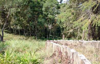 Imagem 5: Terreno à venda, 2170 m² por R$ 550.000,00 - Jaguaribe - Campos do Jordão/SP